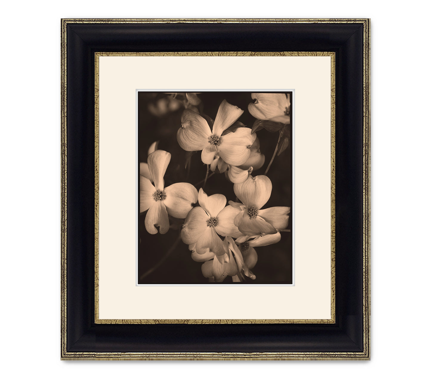 DOGWOODS