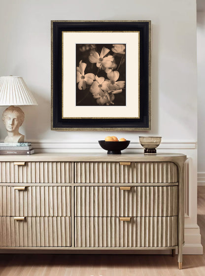 DOGWOODS