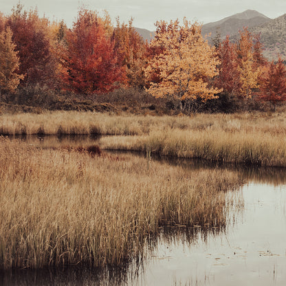 FALL RIVER