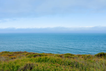 PERFECT COAST