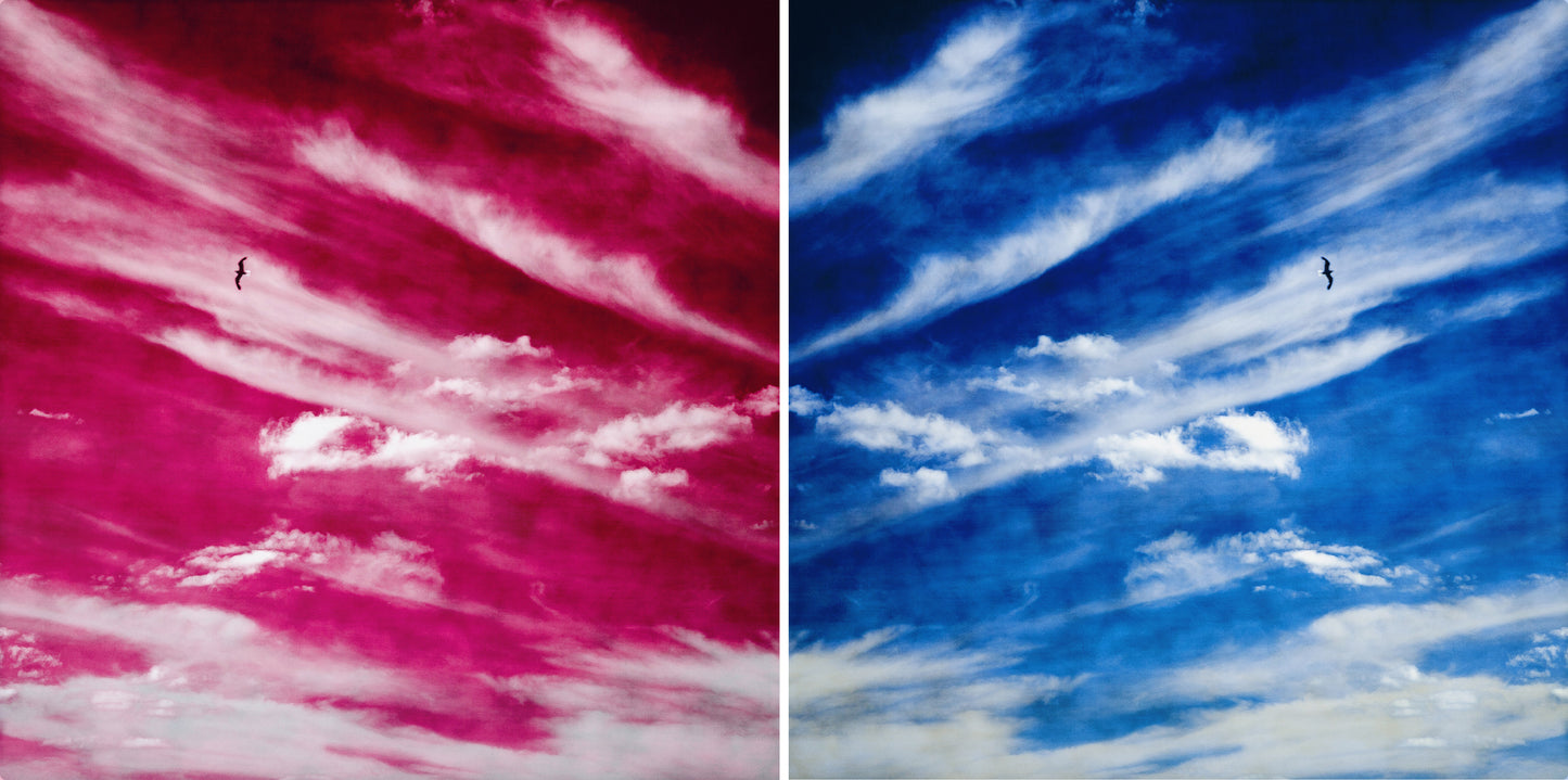 SHIBORI SKY (SET)