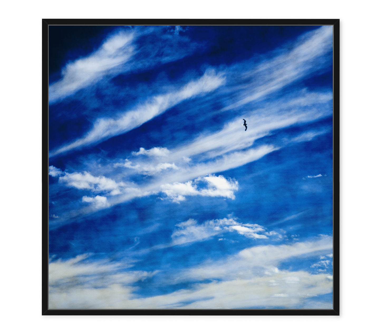 SHIBORI SKY (SET)