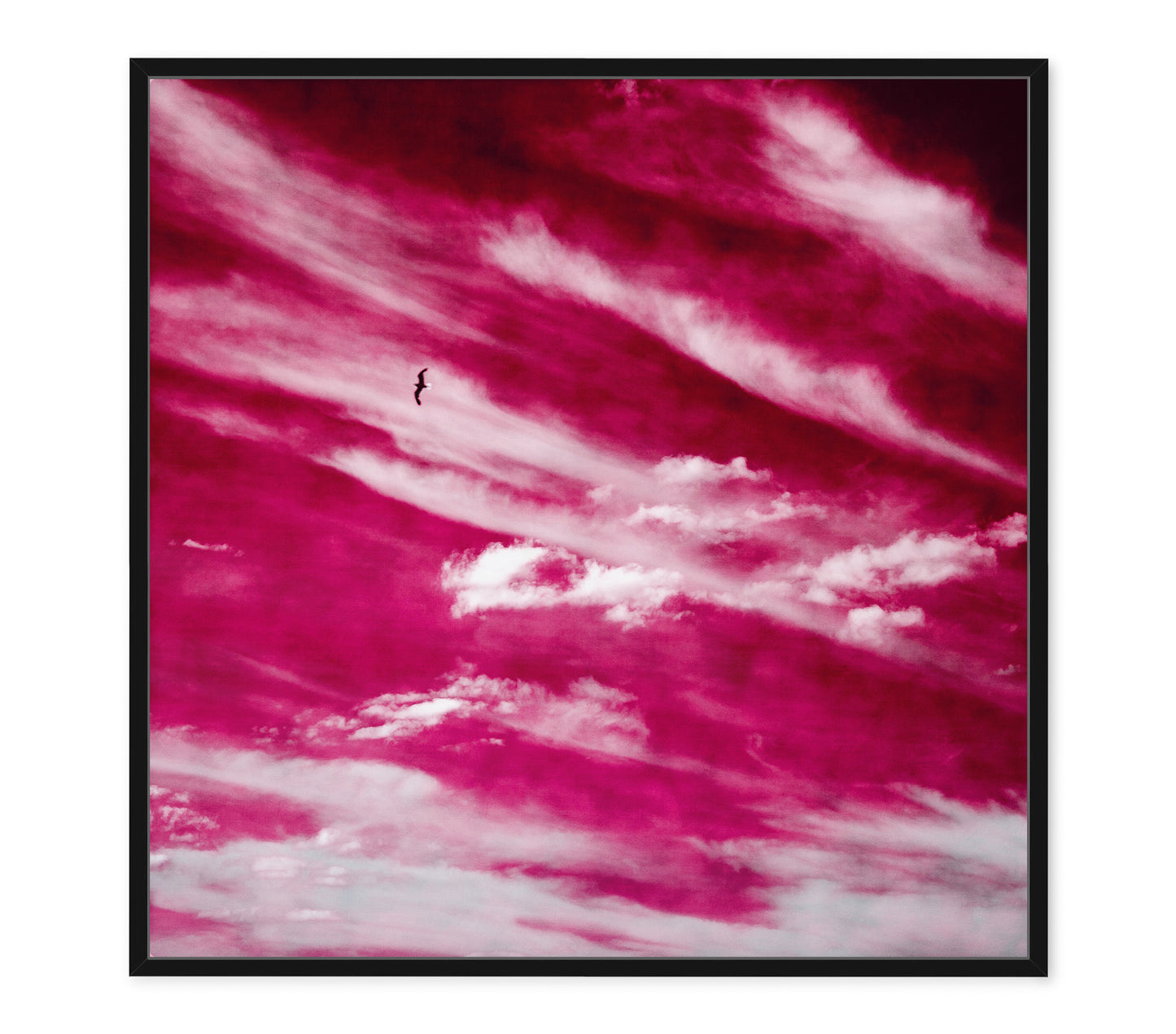 SHIBORI SKY (SET)