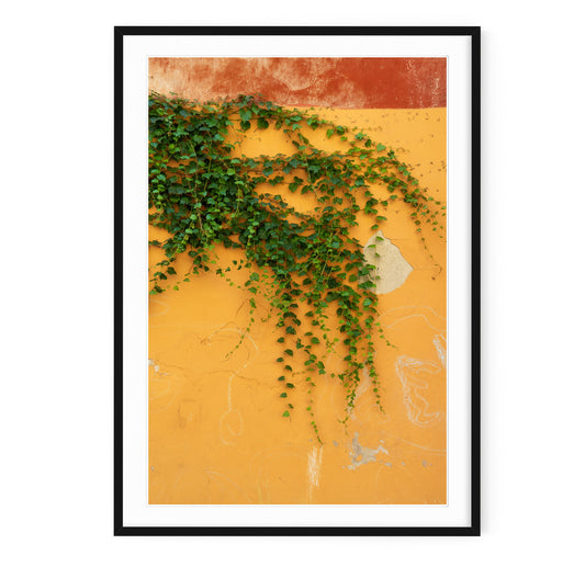 VILLA VINE