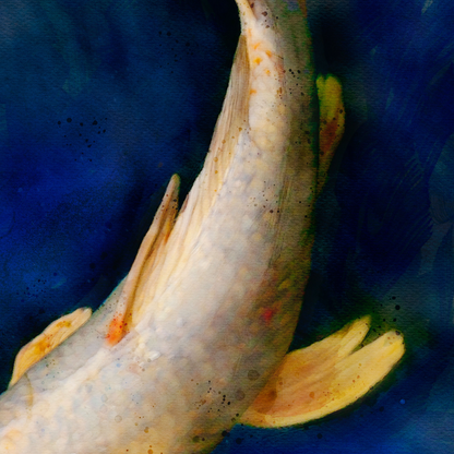 BUTTERFLY KOI (vertical)