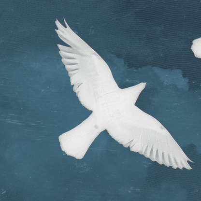 BIRDS IN FLIGHT (SET)