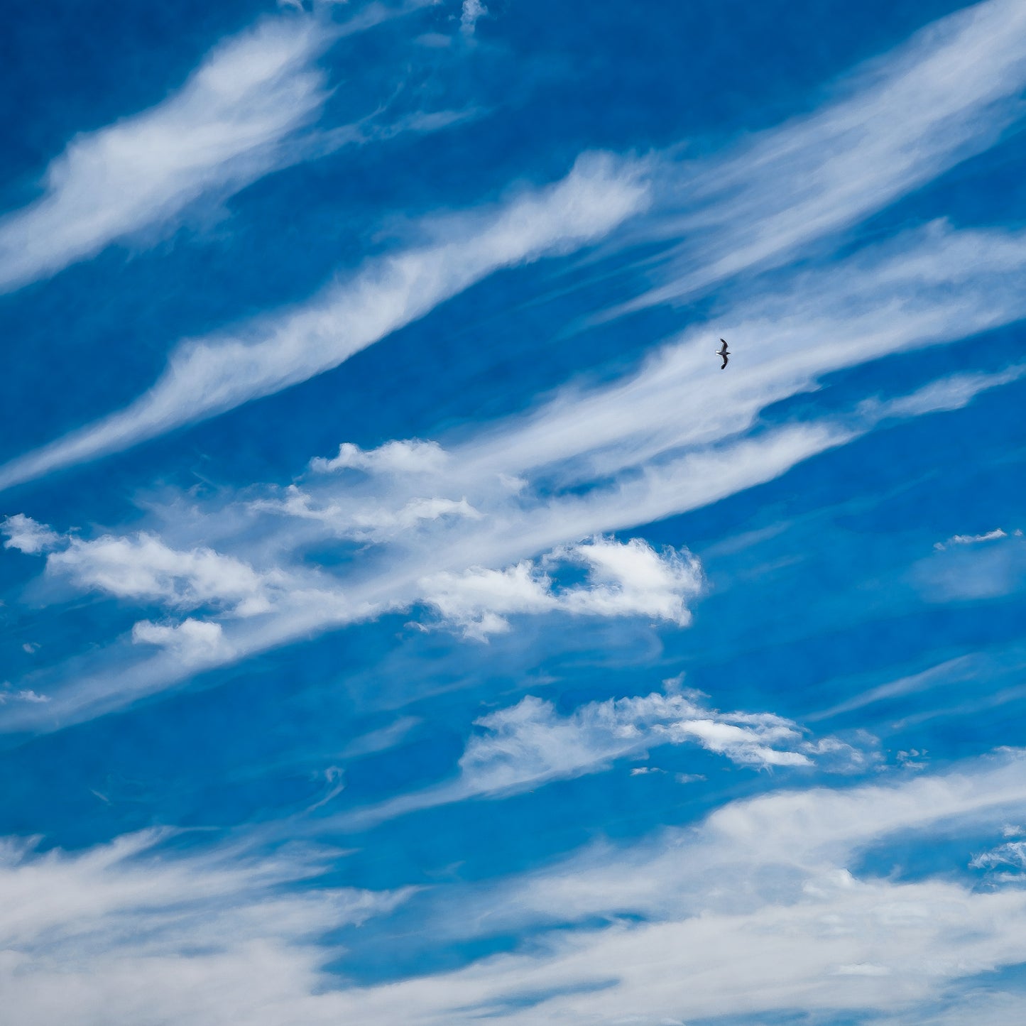 SKY HIGH (SET)