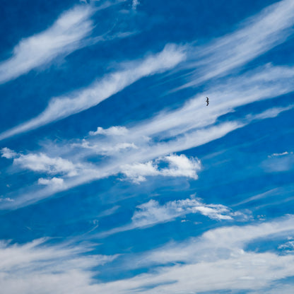 SKY HIGH (SET)
