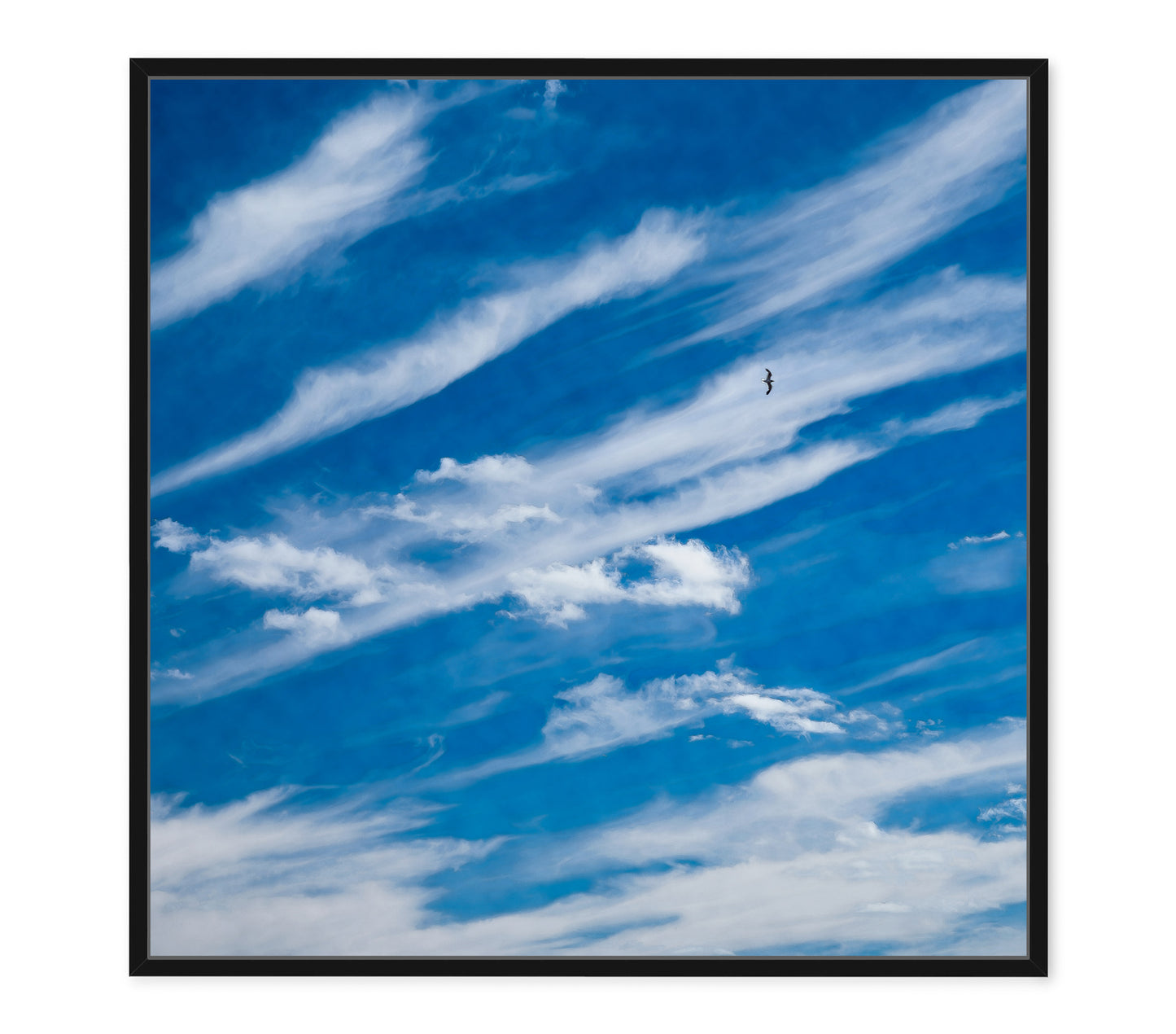 SKY HIGH (SET)