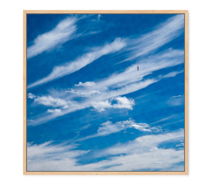 SKY HIGH (SET)