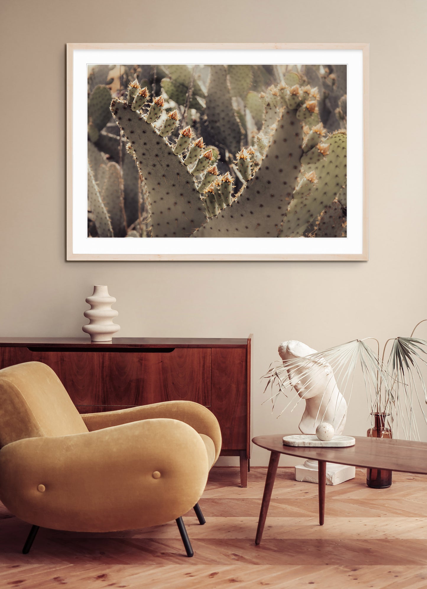 PRICKLY PEAR BLOSSOMS